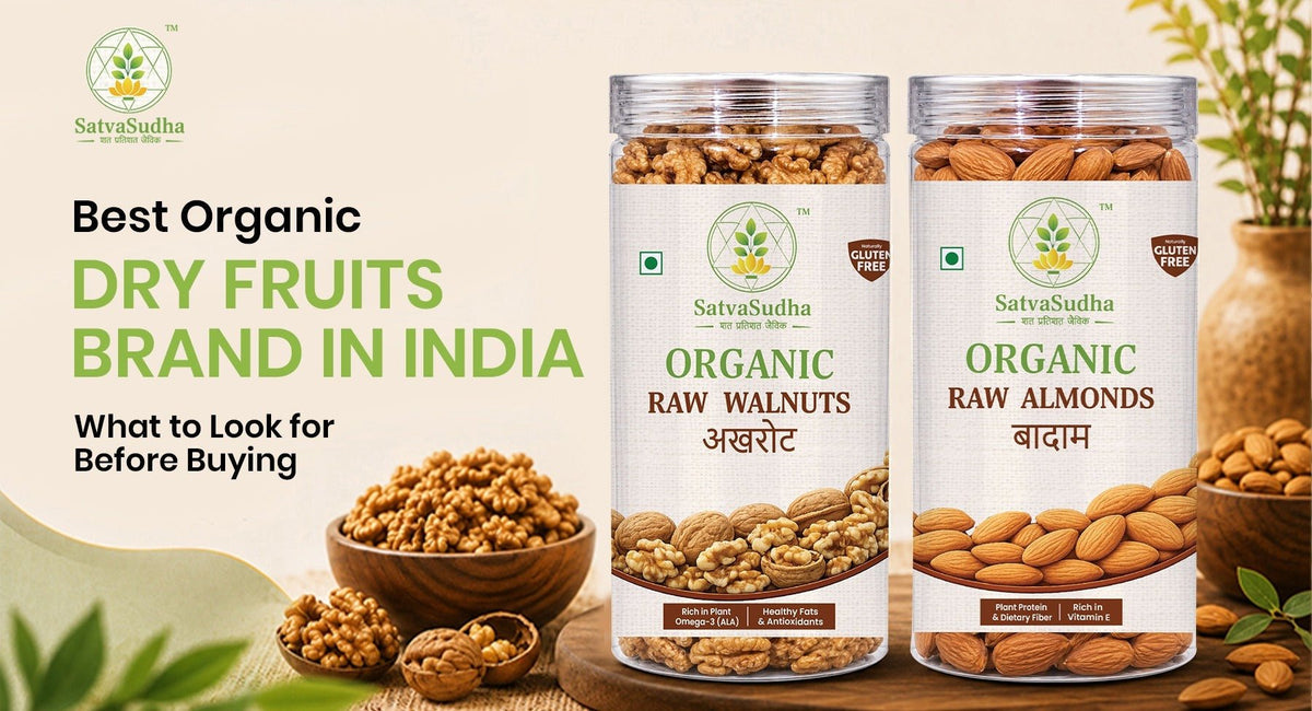 Best Organic Dry Fruits Brand in India: What to Look for Before Buying