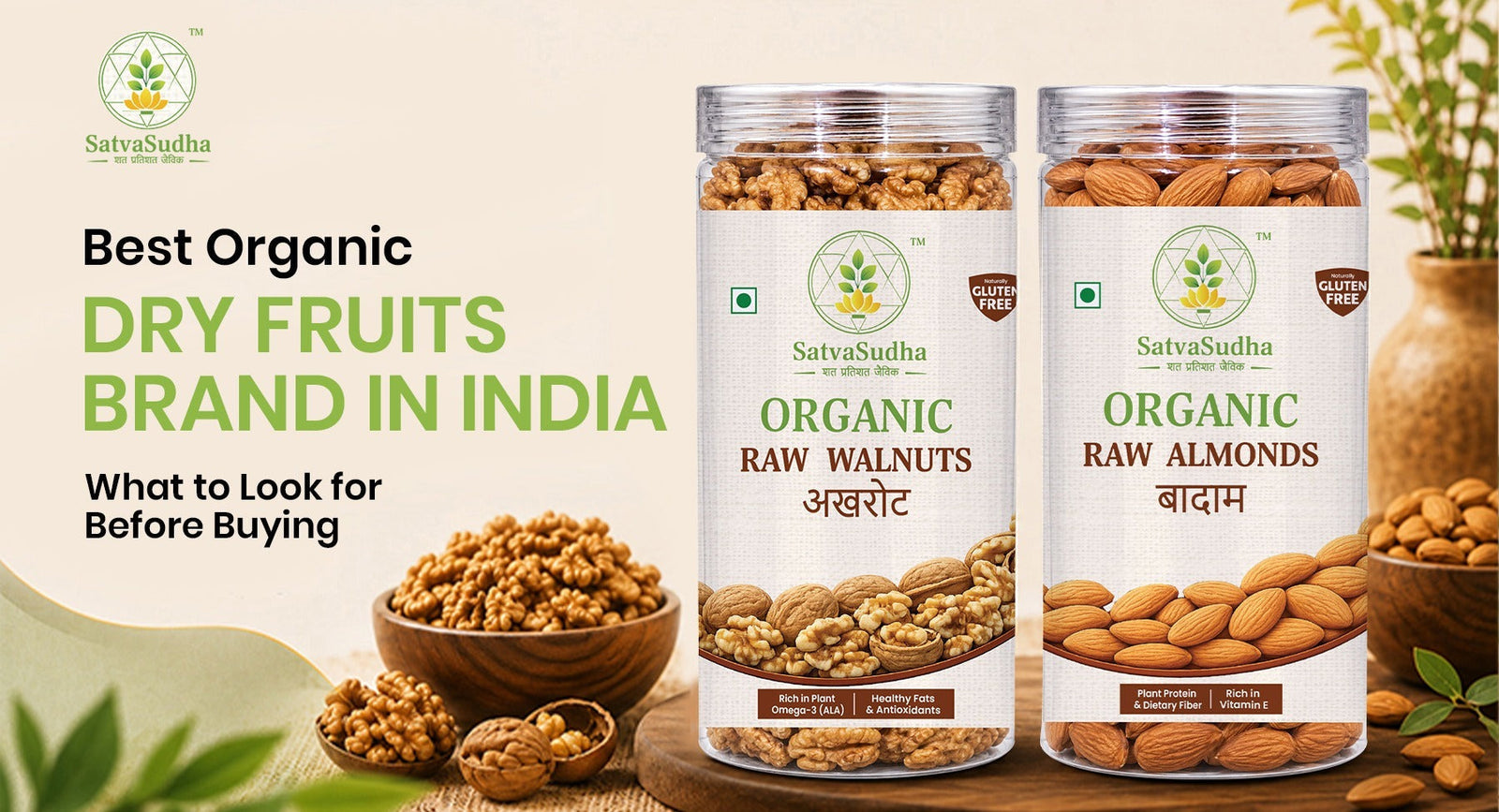 Best Organic Dry Fruits Brand in India: What to Look for Before Buying